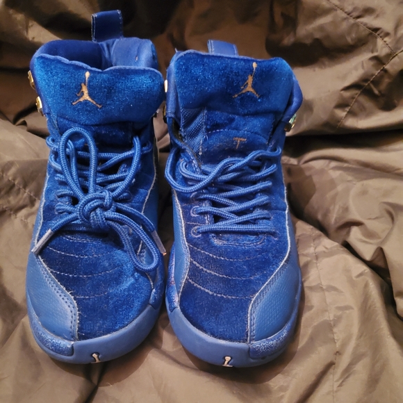 Jordan Other - Air Jordan 12 Michigan